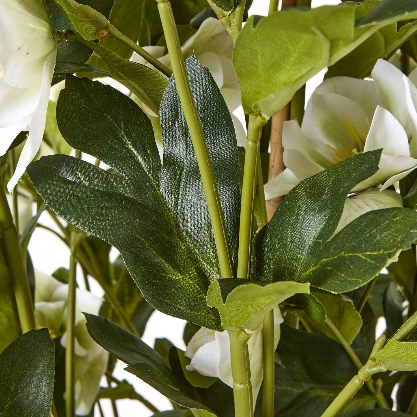 close up of the greenery of artificial hellebore plant