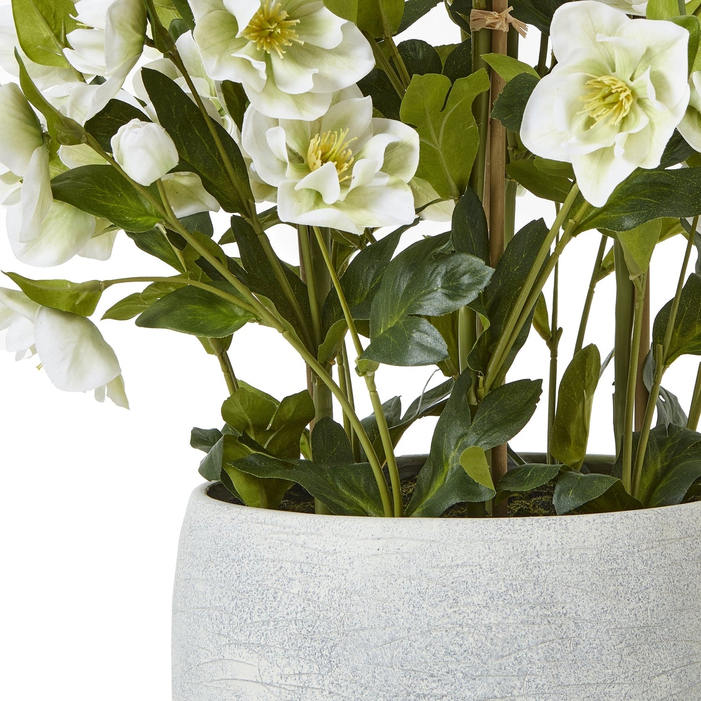 base of artificial hellebore plant in grey pot