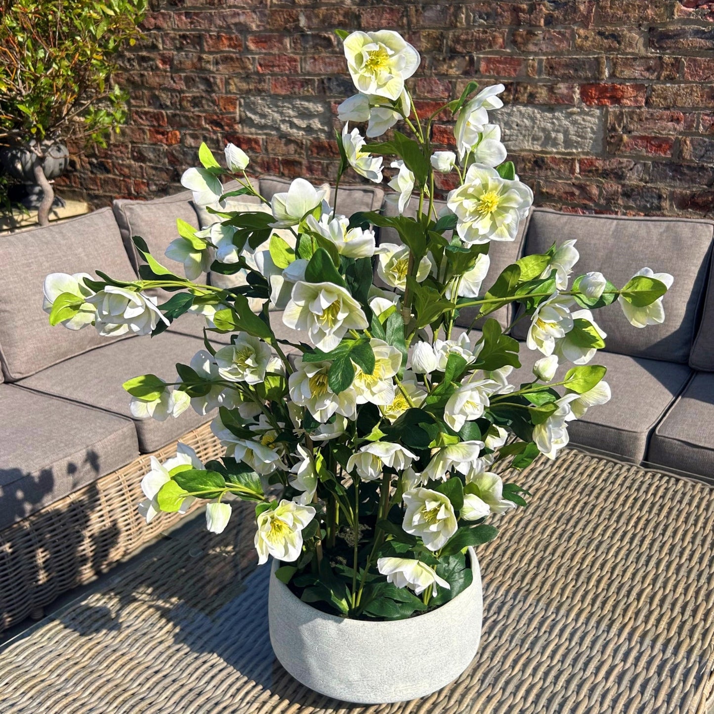 artificial white hellebore plant on outdoor table