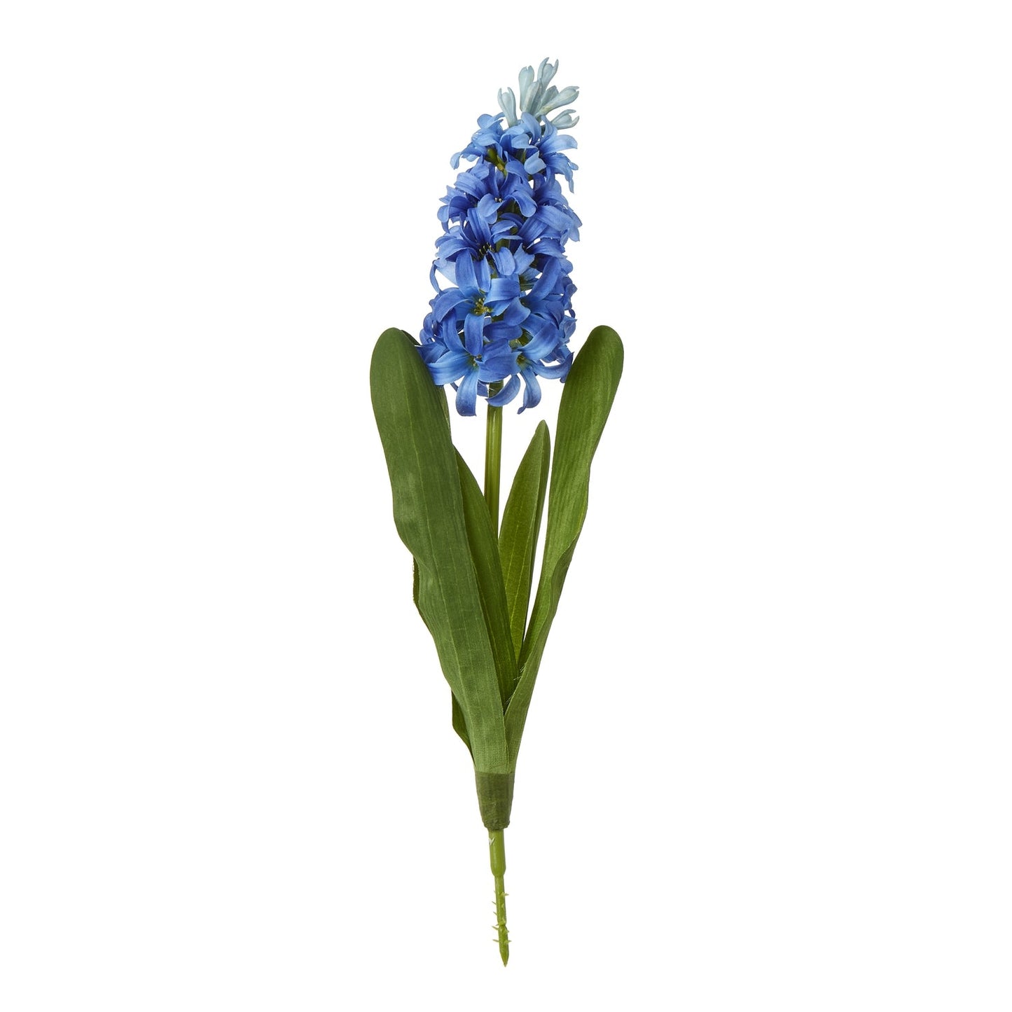 Hyacinth Stem | Choice of 4 Colours