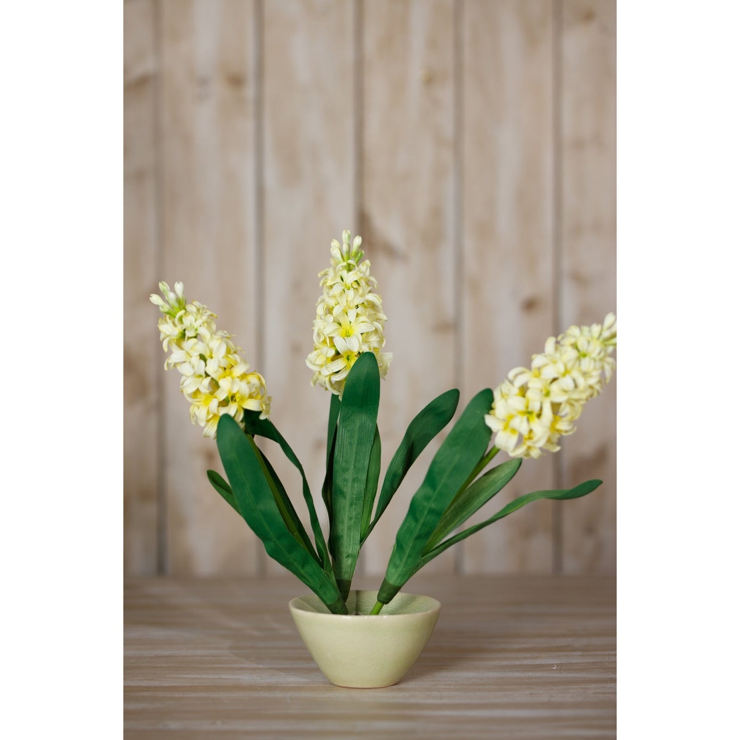 Hyacinth Stem | Choice of 4 Colours