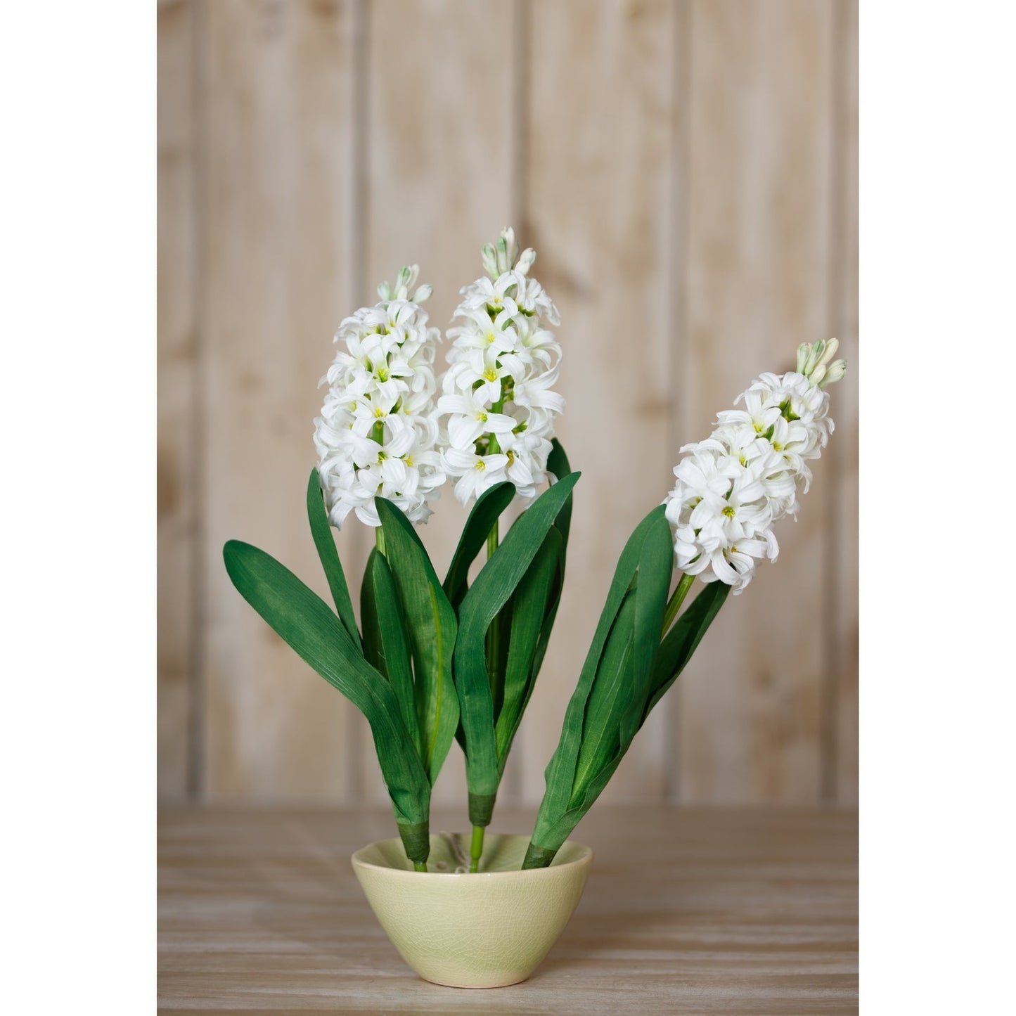 Hyacinth Stem | Choice of 4 Colours