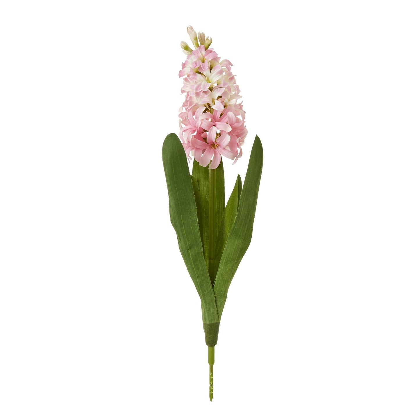 Hyacinth Stem | Choice of 4 Colours