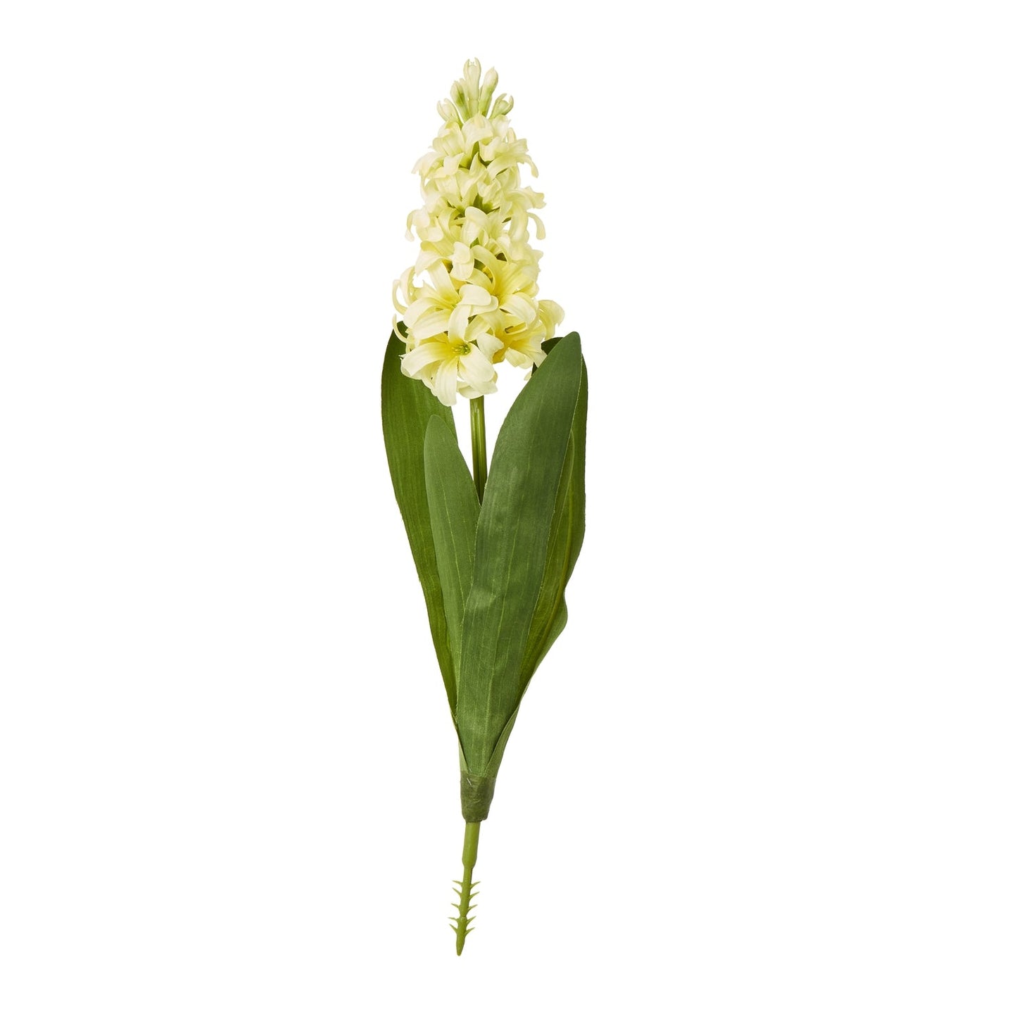 Hyacinth Stem | Choice of 4 Colours