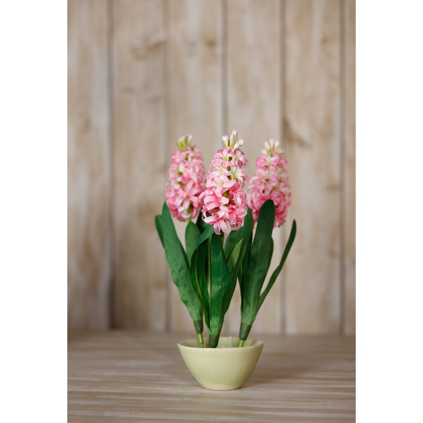 Hyacinth Stem | Choice of 4 Colours