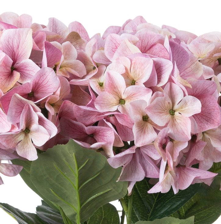 Pink Hydrangea Bouquet