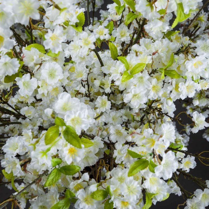 White Cherry Blossom Spray