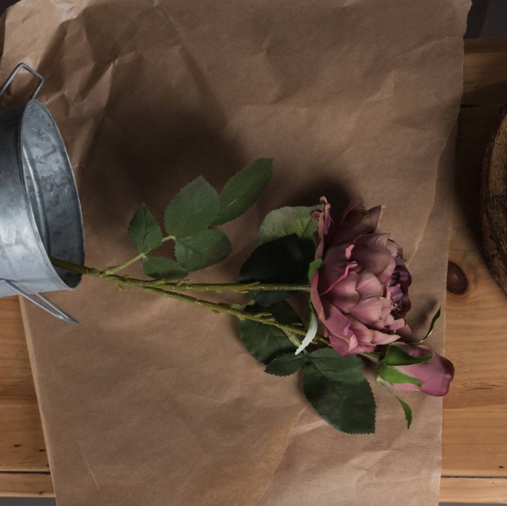 Dusty Pink Peony