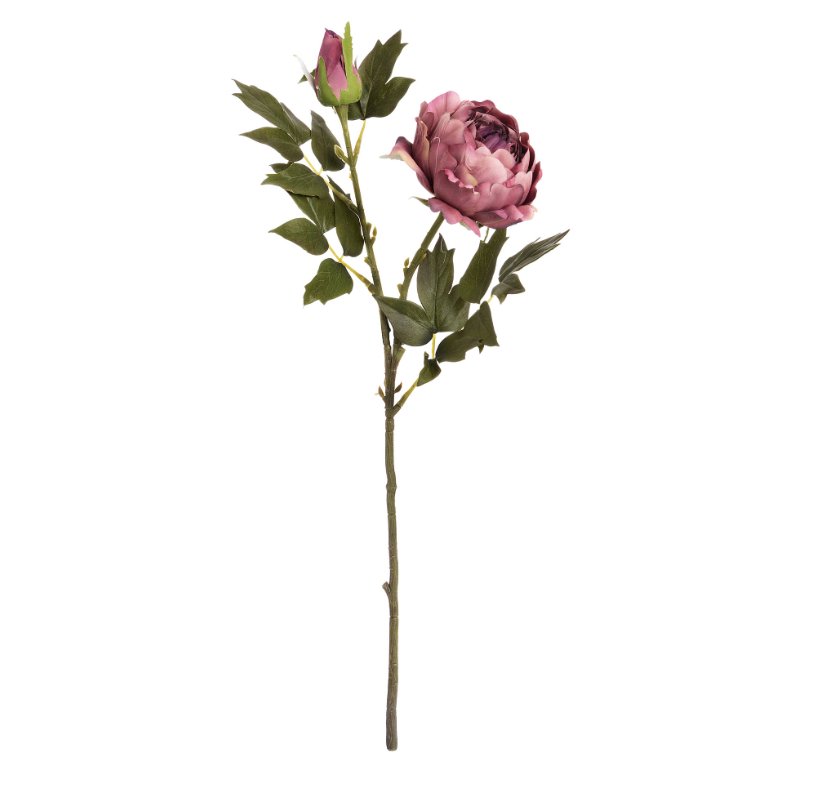 Dusty Pink Peony
