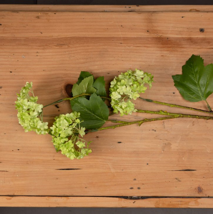 Green Viburnum Spray