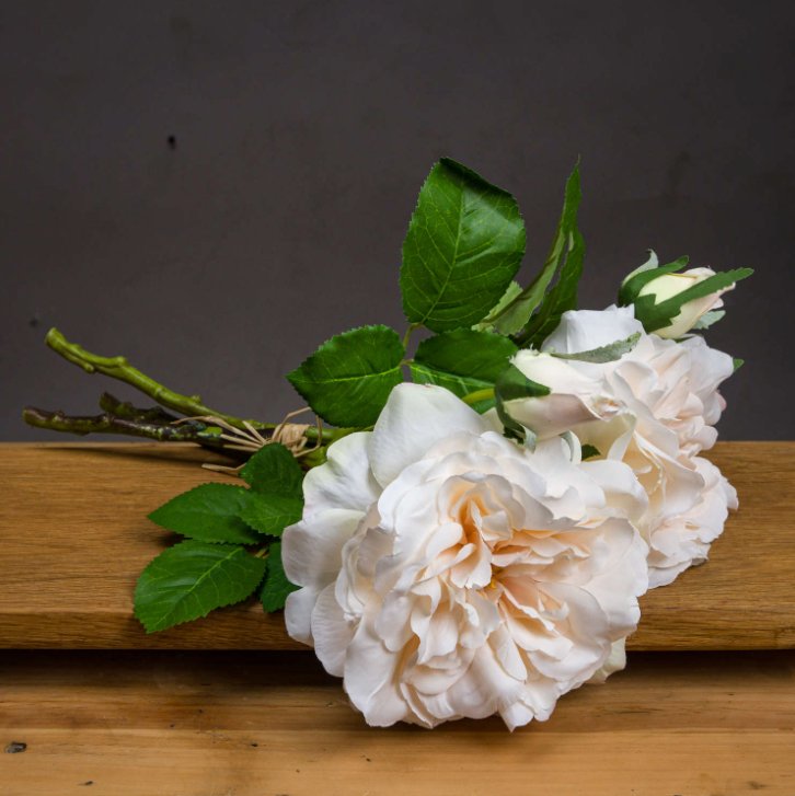 Peachy Cream Short Stem Rose Bouquet