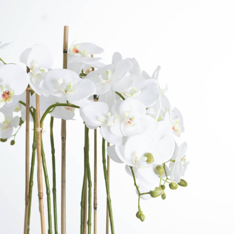 Artificial White Orchid in Glass Pot | Highly Realistic