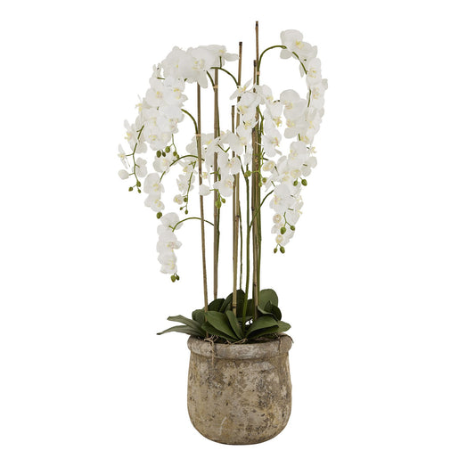 large 5ft artificial orchid in stone pot