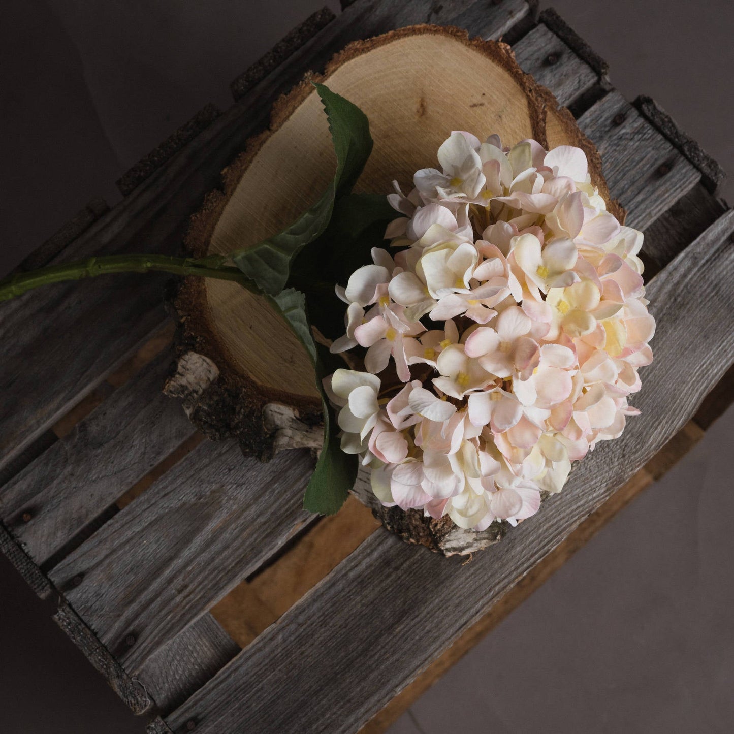 single stem hydrangea laid down on bark 