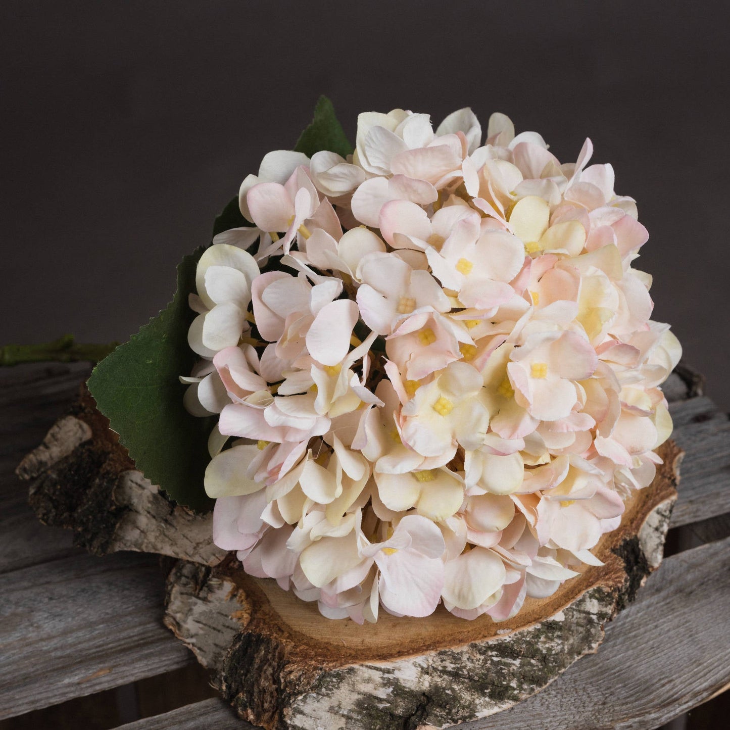 close up of petal details on the single stem hydrangea