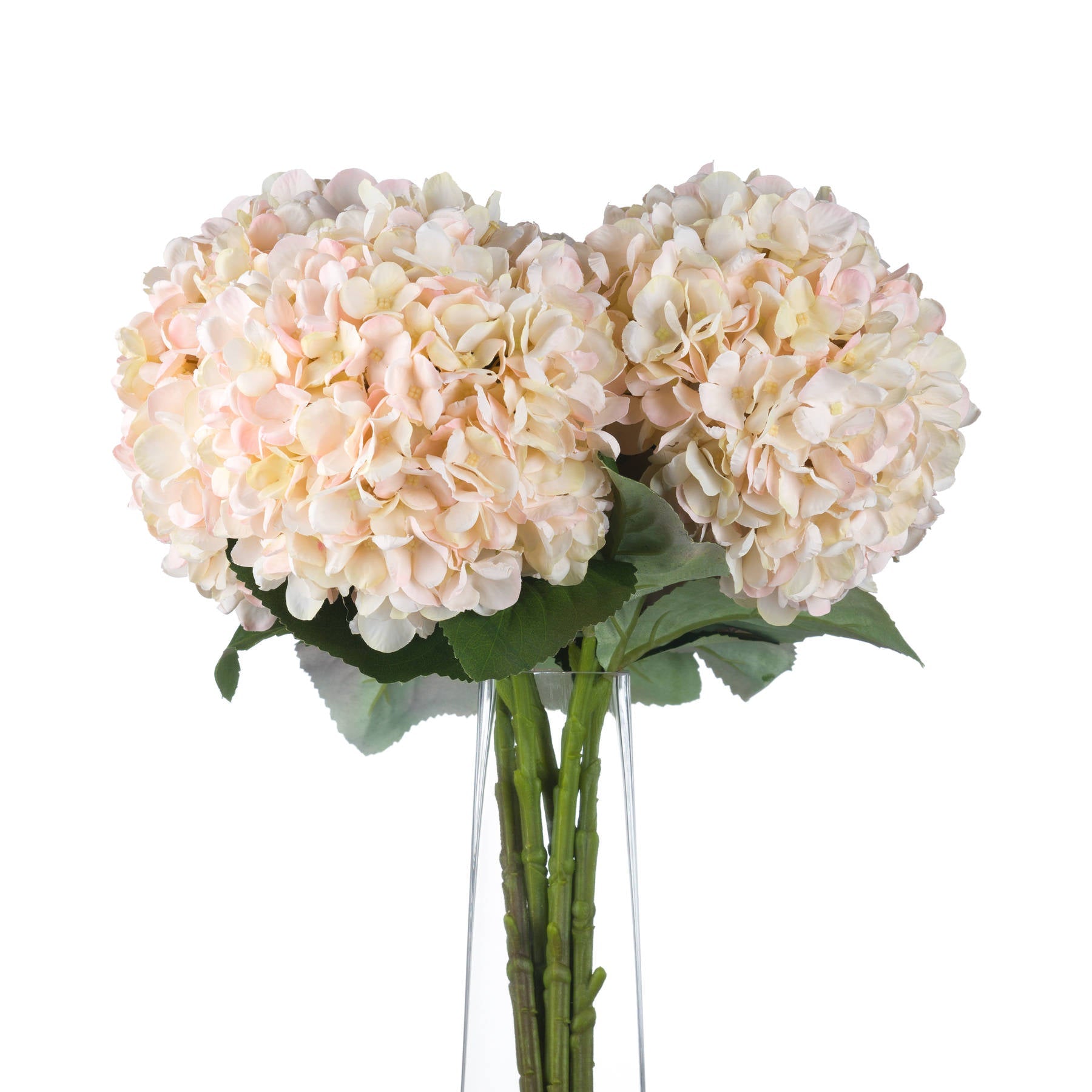 four single stem hydrangeas in glass vase