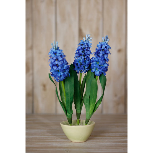 Hyacinth Stem | Choice of 4 Colours