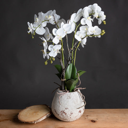 artificial orchid in stone pot, next to bark style tray