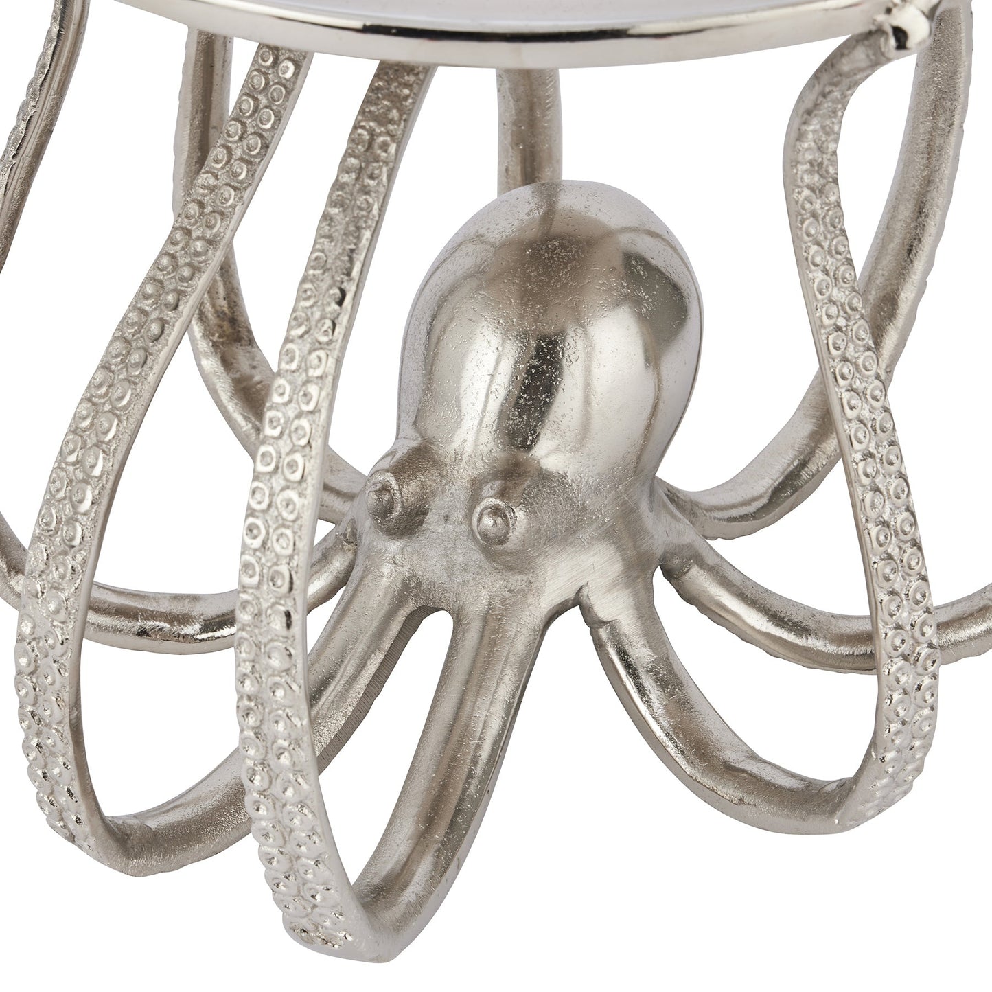 octopus detail