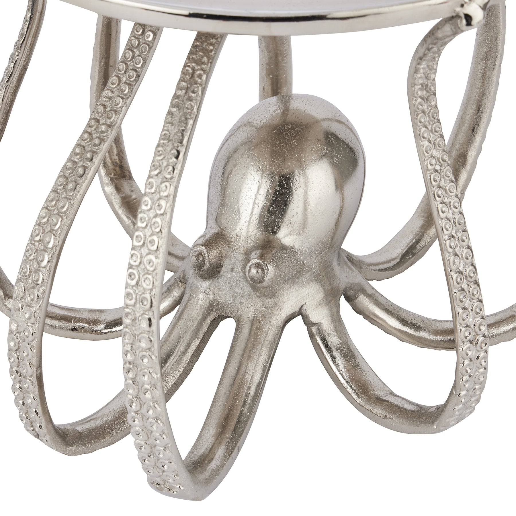 octopus detail